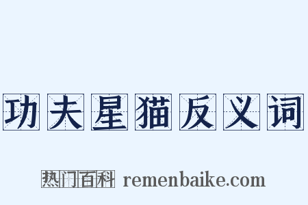 功夫星猫反义词是什么意思的图片